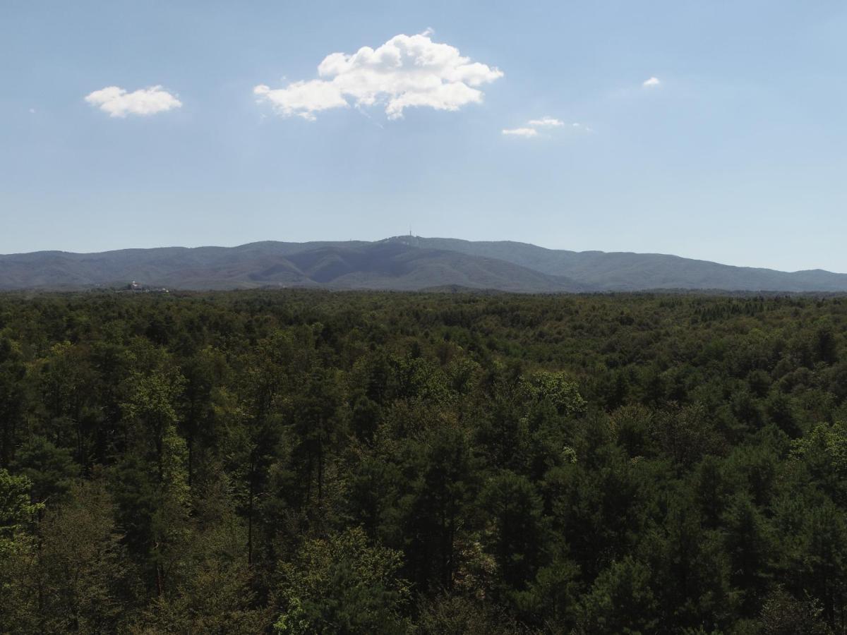 Kuca Za Odmor Sunce Villa Kraljev Vrh Exteriör bild